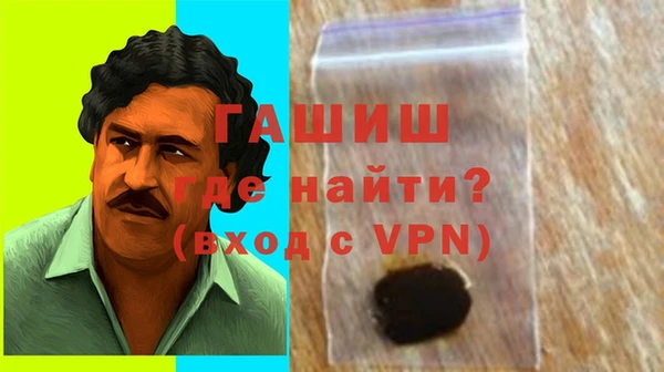 крисы Бородино