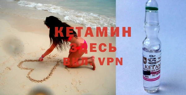 крисы Бородино