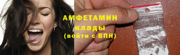крисы Бородино