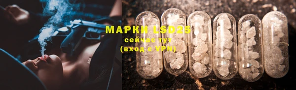 крисы Бородино