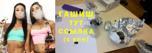 крисы Бородино