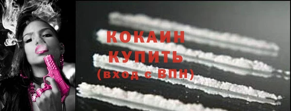 крисы Бородино