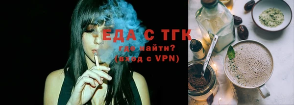 крисы Бородино