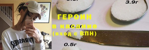 крисы Бородино