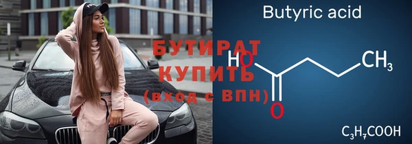 крисы Бородино