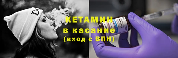 крисы Бородино