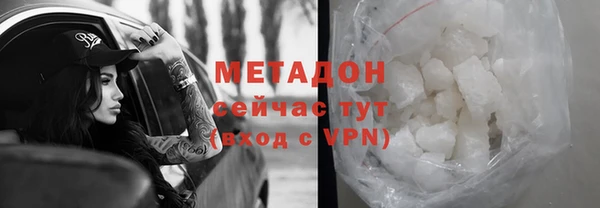 крисы Бородино