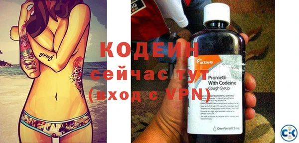 крисы Бородино