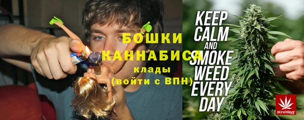 крисы Бородино