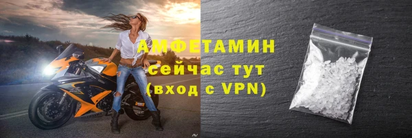 крисы Бородино